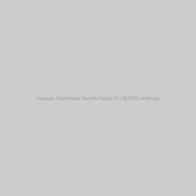 Abbexa - Vascular Endothelial Growth Factor D (VEGFD) Antibody